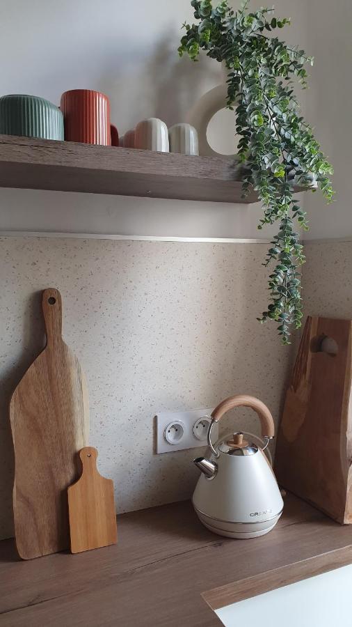 Appartement Au Calme T3 Rdc - Quartier De France 维琪 外观 照片